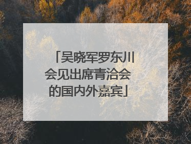 吴晓军罗东川会见出席青洽会的国内外嘉宾