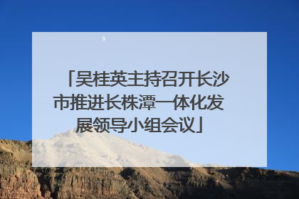 吴桂英主持召开长沙市推进长株潭一体化发展领导小组会议