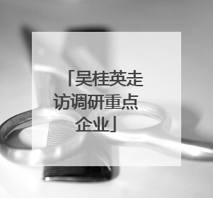吴桂英走访调研重点企业