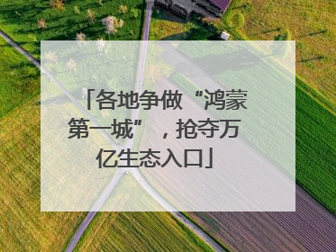 各地争做“鸿蒙第一城”，抢夺万亿生态入口