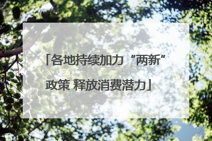 各地持续加力“两新”政策 释放消费潜力