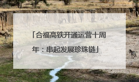 合福高铁开通运营十周年：串起发展珍珠链
