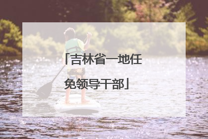 吉林省一地任免领导干部