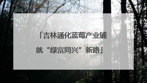 吉林通化蓝莓产业铺就“绿富同兴”新路