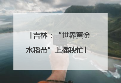吉林：“世界黄金水稻带”上插秧忙