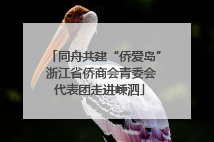 同舟共建“侨爱岛” 浙江省侨商会青委会代表团走进嵊泗