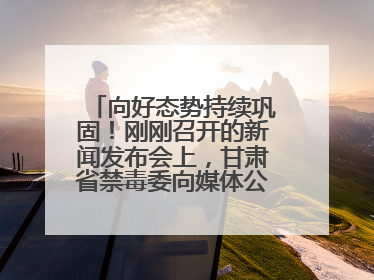 向好态势持续巩固！刚刚召开的新闻发布会上，甘肃省禁毒委向媒体公布三年禁毒工作“成绩单”