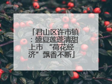 君山区许市镇：盛夏莲蓬清甜上市 “荷花经济”飘香不断