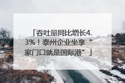 吞吐量同比增长4.3%！泰州企业坐享“家门口就是国际港”