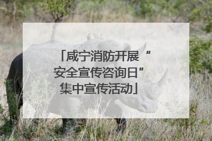 咸宁消防开展“安全宣传咨询日”集中宣传活动