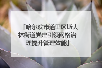 哈尔滨市道里区斯大林街道党建引领网格治理提升管理效能