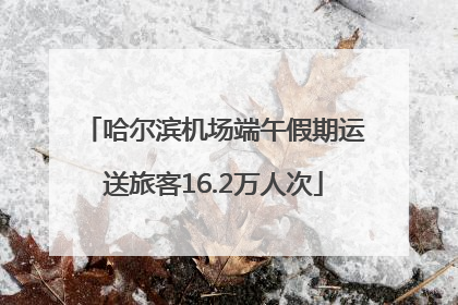 哈尔滨机场端午假期运送旅客16.2万人次