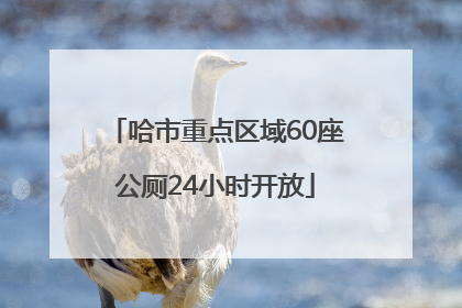 哈市重点区域60座公厕24小时开放