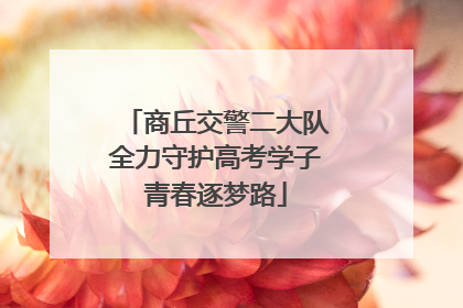商丘交警二大队全力守护高考学子青春逐梦路