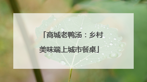 商城老鸭汤：乡村美味端上城市餐桌