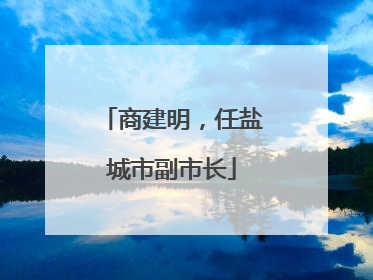 商建明，任盐城市副市长