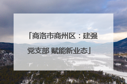 商洛市商州区：建强党支部 赋能新业态