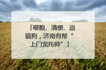 喂粮、清便、逗猫狗，济南有帮“上门宠托师”