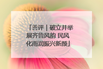善评｜破立并举展齐鲁风韵 民风化雨润振兴新颜