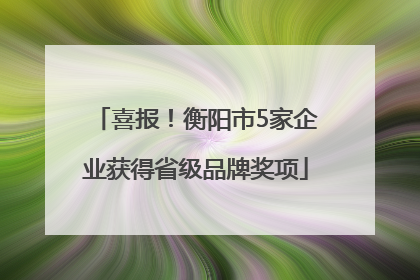 喜报！衡阳市5家企业获得省级品牌奖项