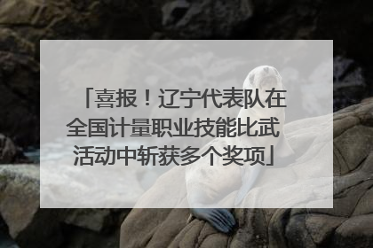 喜报！辽宁代表队在全国计量职业技能比武活动中斩获多个奖项