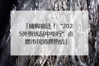 嗨购宿迁！“2025外贸优品中华行”点燃市民消费热情