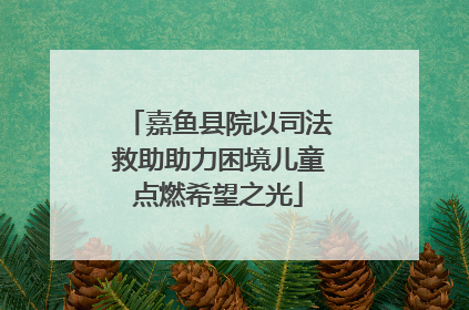 嘉鱼县院以司法救助助力困境儿童点燃希望之光