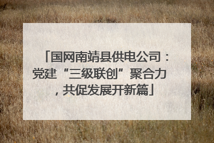 国网南靖县供电公司：党建“三级联创”聚合力，共促发展开新篇