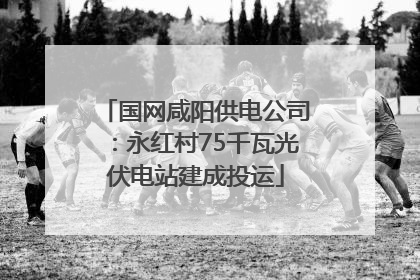 国网咸阳供电公司：永红村75千瓦光伏电站建成投运