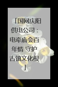国网庆阳供电公司：电牵庙会百年情 守护古镇文化根