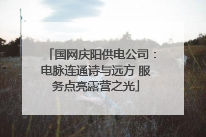 国网庆阳供电公司：电脉连通诗与远方 服务点亮露营之光