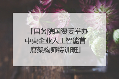 国务院国资委举办中央企业人工智能首席架构师特训班