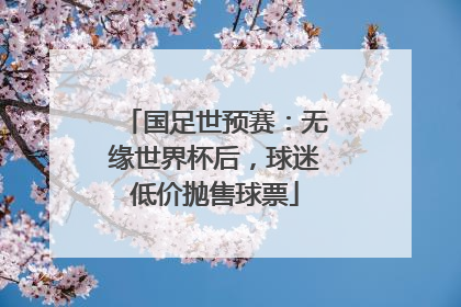 国足世预赛：无缘世界杯后，球迷低价抛售球票