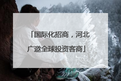 国际化招商，河北广邀全球投资客商