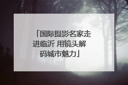 国际摄影名家走进临沂 用镜头解码城市魅力