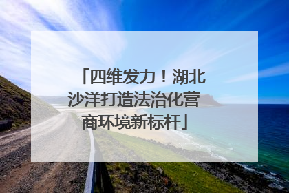 四维发力！湖北沙洋打造法治化营商环境新标杆