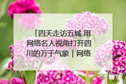 四天走访五城 用网络名人视角打开四川的万千气象｜网络名人四川行