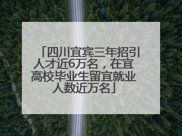 四川宜宾三年招引人才近6万名，在宜高校毕业生留宜就业人数近万名