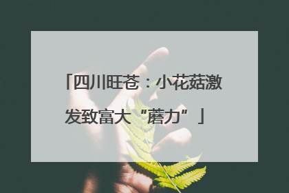 四川旺苍：小花菇激发致富大“蘑力”