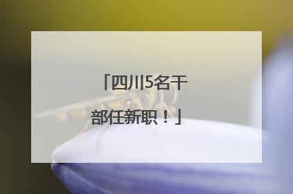 四川5名干部任新职！