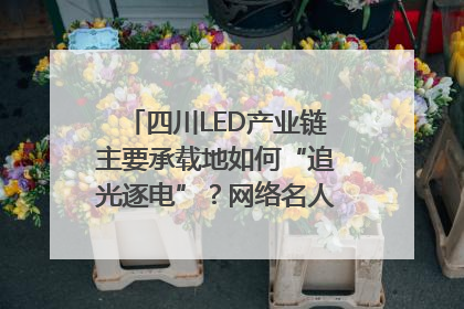 四川LED产业链主要承载地如何“追光逐电”？网络名人走进攀枝花找答案｜网络名人四川行