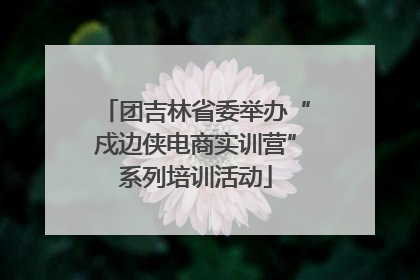 团吉林省委举办“戍边侠电商实训营”系列培训活动