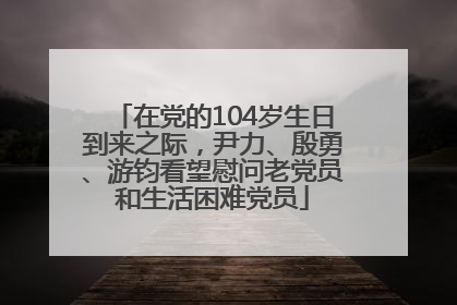 在党的104岁生日到来之际，尹力、殷勇、游钧看望慰问老党员和生活困难党员