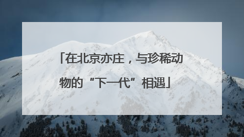 在北京亦庄，与珍稀动物的“下一代”相遇