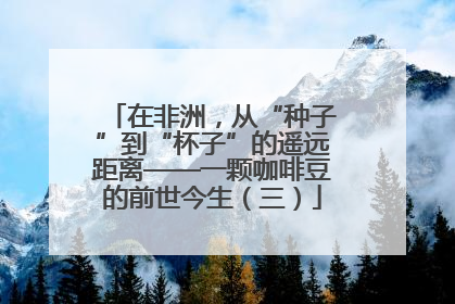 在非洲，从“种子”到“杯子”的遥远距离——一颗咖啡豆的前世今生（三）