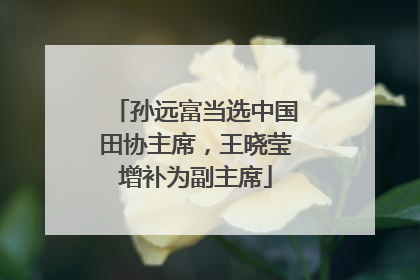 孙远富当选中国田协主席，王晓莹增补为副主席