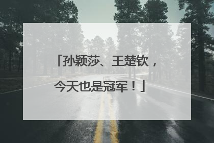 孙颖莎、王楚钦，今天也是冠军！