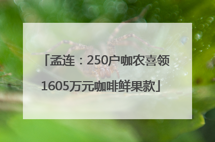 孟连：250户咖农喜领1605万元咖啡鲜果款
