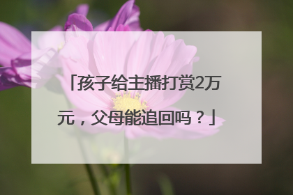 孩子给主播打赏2万元，父母能追回吗？