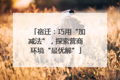 宿迁：巧用“加减法”，探索营商环境“最优解”